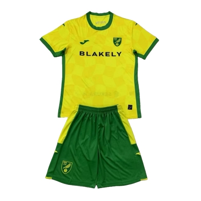 1a Equipacion Camiseta Norwich City Nino 24-25