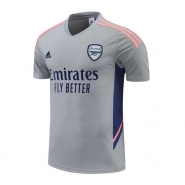 Camiseta de Entrenamiento Arsenal 22-23 Gris