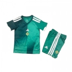 1ª Equipacion Camiseta Irlanda del Norte Nino 2026 1ª Equipacion Camiseta Irlanda del Norte Nino 2026