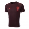 Camiseta de Entrenamiento Bayern Munich 24-25 Rojo