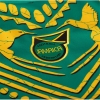 Camiseta Pre Partido del Jamaica 2024 Verde