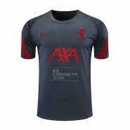 Camiseta de Entrenamiento Liverpool 20-21 Gris