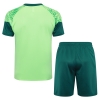 Chandal del Palmeiras Manga Corta 24-25 Verde - Pantalon Corto