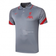 Camiseta Polo del Liverpool 20-21 Gris