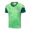 Camiseta de Entrenamiento Palmeiras 24-25 Verde