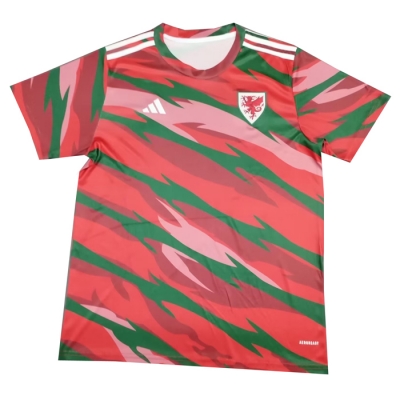 Camiseta Pre Partido del Gales 2024 Rojo