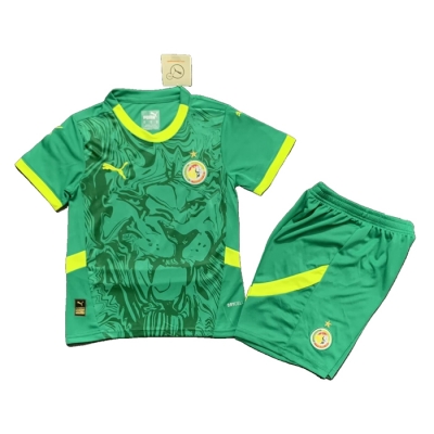 2a Equipacion Camiseta Senegal Nino 2025