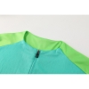 Chandal de Sudadera del Brasil 2024-25 Verde