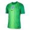 Camiseta Inglaterra Portero 2025 Verde Camiseta Inglaterra Portero 2025 Verde