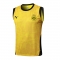 Camiseta de Entrenamiento Borussia Dortmund Sin Mangas 25-26 Amarillo Camiseta de Entrenamiento Borussia Dortmund Sin Mangas 25-26 Amarillo