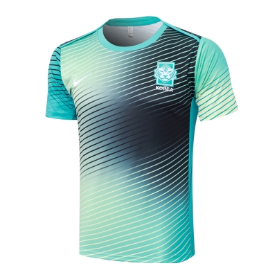 Camiseta de Entrenamiento Corea del Sur 24-25 Verde