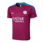 Camiseta de Entrenamiento Paris Saint-Germain 24-25 Purpura