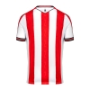 1a Equipacion Camiseta Stoke City 24-25 Tailandia