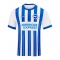 1a Equipacion Camiseta Brighton & Hove Albion 24-25