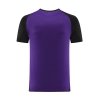 Camiseta de Entrenamiento Alemania 24-25 Purpura