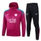 Chandal de Sudadera del Paris Saint-Germain 24-25 Purpura