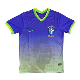 Tailandia Camiseta Brasil Pele Special 2022 Azul