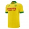 1ª Equipacion Camiseta FC Nantes 25-26 Tailandia 1ª Equipacion Camiseta FC Nantes 25-26 Tailandia