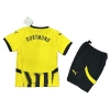 Camiseta Borussia Dortmund Cup 24-25