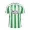 1a Equipacion Camiseta Real Betis 24-25