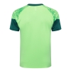 Camiseta de Entrenamiento Palmeiras 24-25 Verde