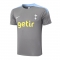 Camiseta de Entrenamiento Tottenham Hotspur 24-25 Gris