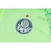 Chandal de Sudadera del Palmeiras 2024-25 Verde