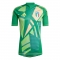 Camiseta Italia Portero 2024-25 Verde