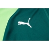 Chandal de Chaqueta del Palmeiras 24-25 Verde