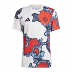 Camiseta Pre Partido del Bayern Munich 2024 Blanco