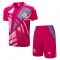 Chandal del Flamengo Manga Corta 25-26 Rosa - Pantalon Corto Chandal del Flamengo Manga Corta 25-26 Rosa - Pantalon Corto
