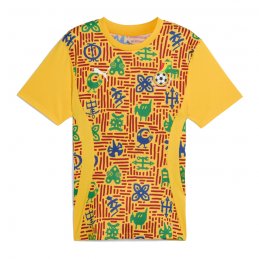 Camiseta Pre Partido del Ghana 2024 Amarillo